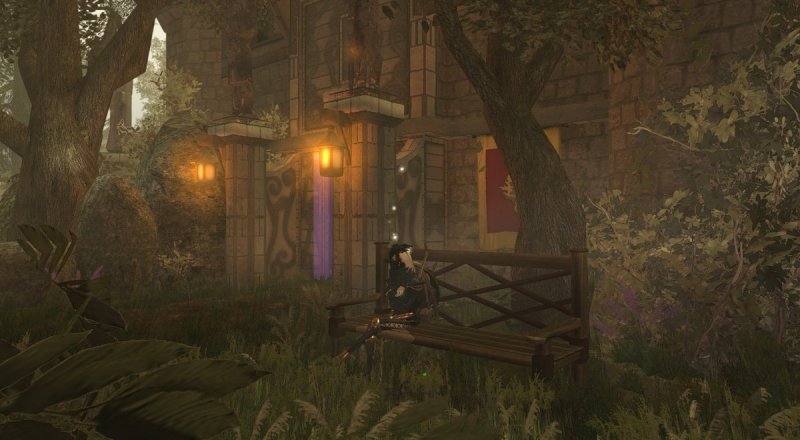 Bug on a bench