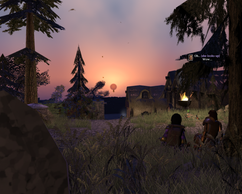 Watching the sunset.